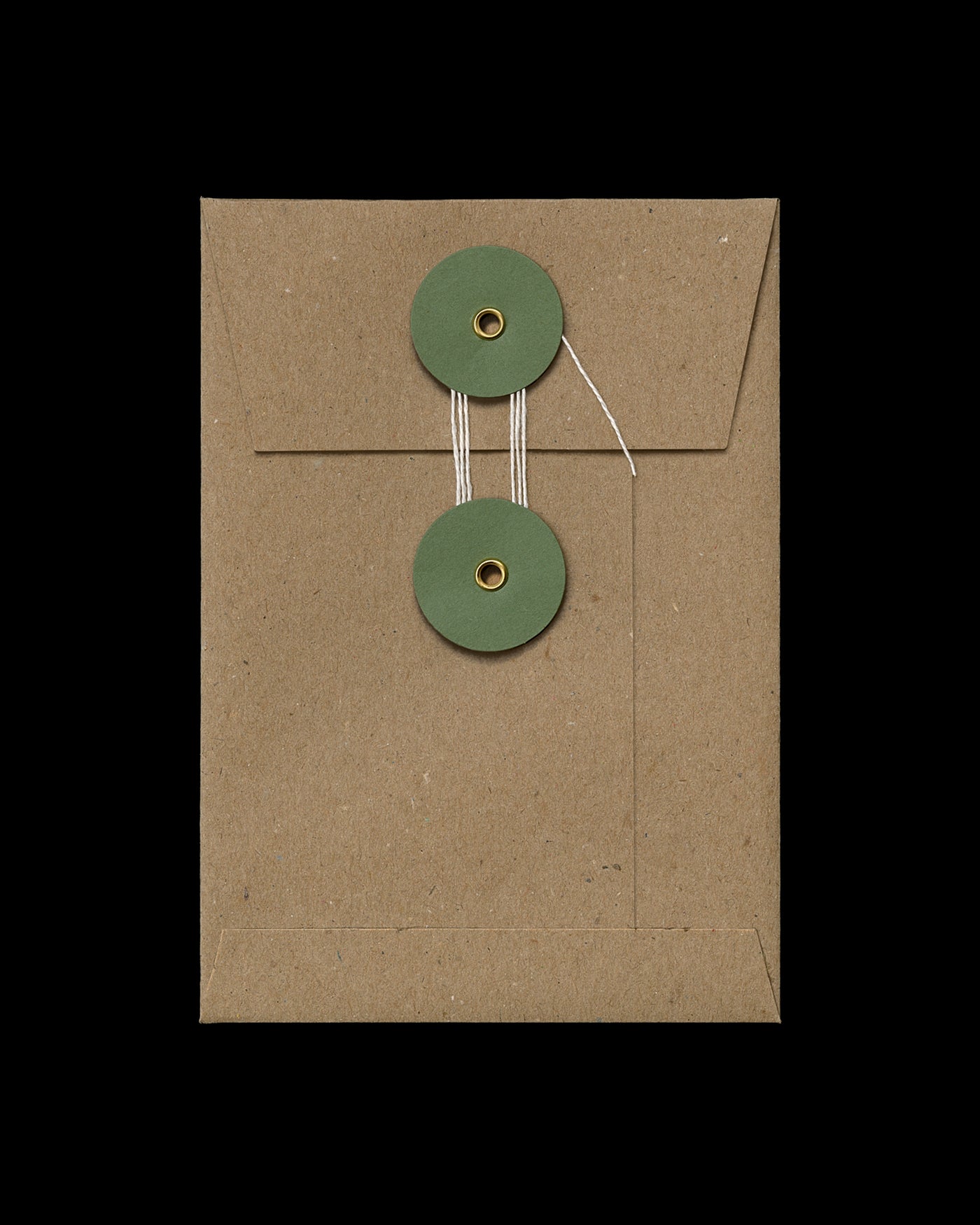 String & Washer Envelope — Kraft Brown